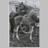 043_Landwirtschaft_von_Fritz_Bosse_1940.jpg